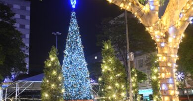 Natal Luzes da Serra começa dia 14 de novembro